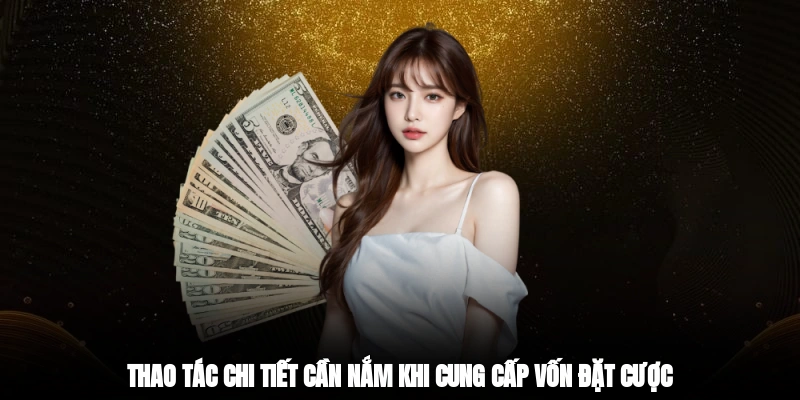 Thao tác chi tiết cần nắm khi cung cấp vốn đặt cược